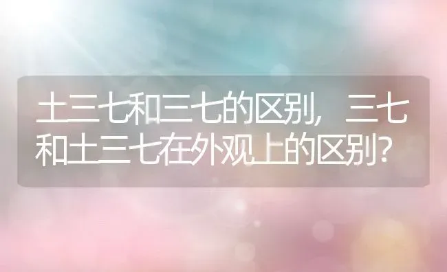 土三七和三七的区别,三七和土三七在外观上的区别？ | 养殖科普