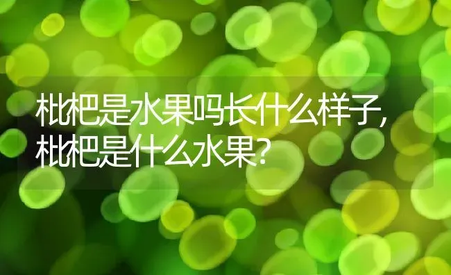 枇杷是水果吗长什么样子,枇杷是什么水果？ | 养殖科普