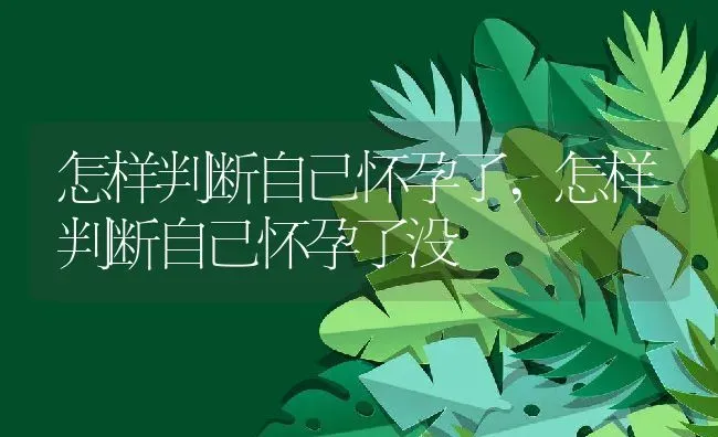 怎样判断自己怀孕了,怎样判断自己怀孕了没 | 养殖科普