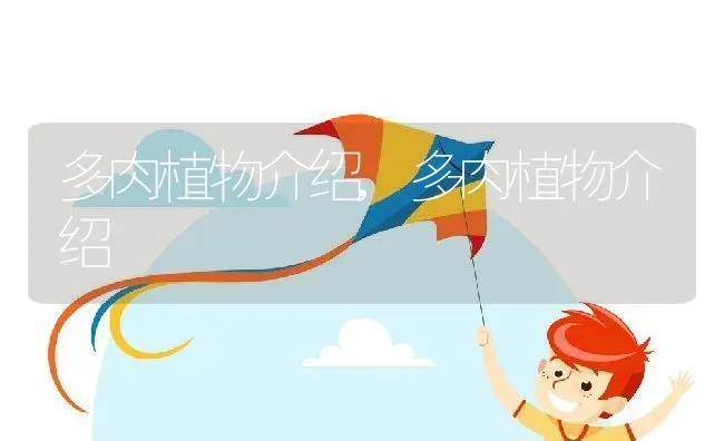 多肉植物介绍,多肉植物介绍 | 养殖科普