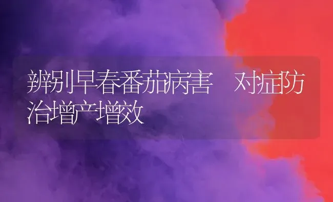 辨别早春番茄病害 对症防治增产增效 | 养殖技术大全