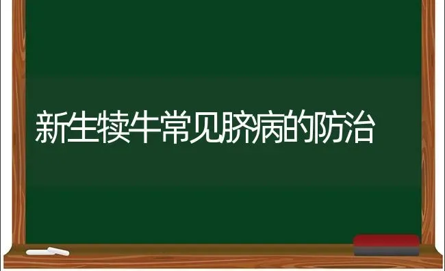 新生犊牛常见脐病的防治 | 养殖技术大全