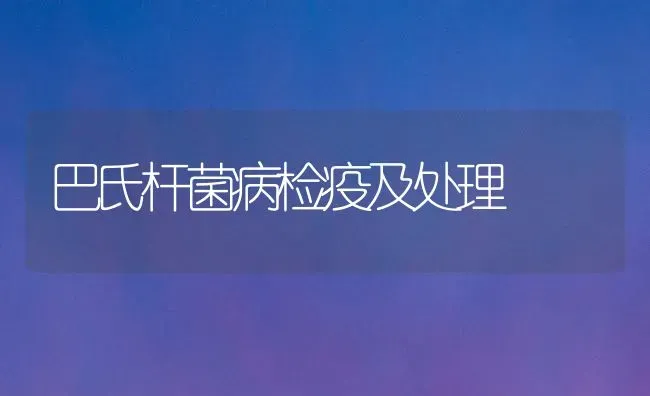 巴氏杆菌病检疫及处理 | 养殖知识