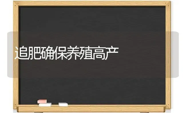 追肥确保养殖高产 | 养殖知识