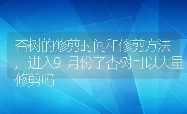 杏树的修剪时间和修剪方法,进入9月份了杏树可以大量修剪吗 | 养殖学堂