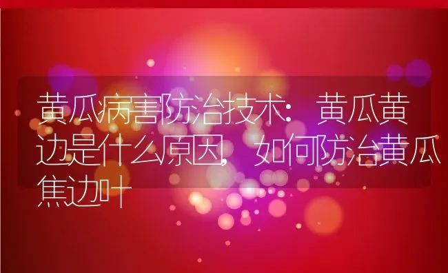 黄瓜病害防治技术:黄瓜黄边是什么原因,如何防治黄瓜焦边叶 | 养殖学堂