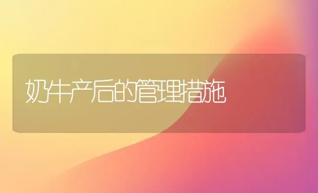 奶牛产后的管理措施 | 养殖技术大全