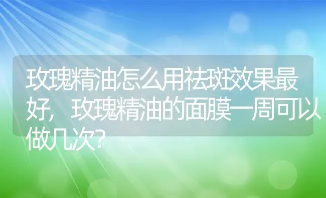 玫瑰精油怎么用祛斑效果最好,玫瑰精油的面膜一周可以做几次？ | 养殖学堂