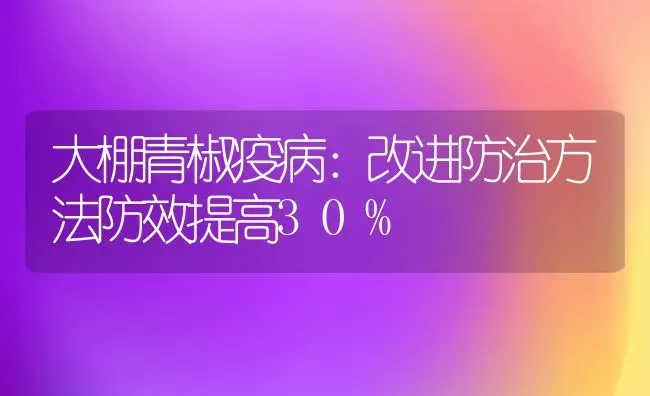 大棚青椒疫病：改进防治方法防效提高30% | 养殖技术大全