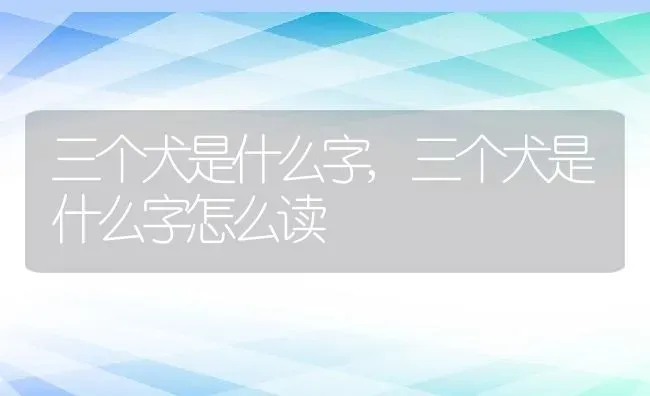 三个犬是什么字,三个犬是什么字怎么读 | 养殖资料