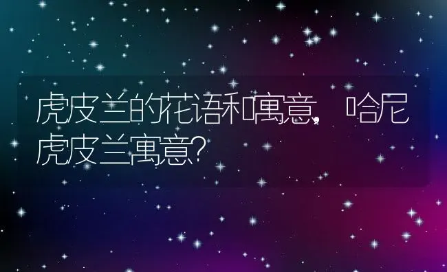 虎皮兰的花语和寓意,哈尼虎皮兰寓意？ | 养殖科普