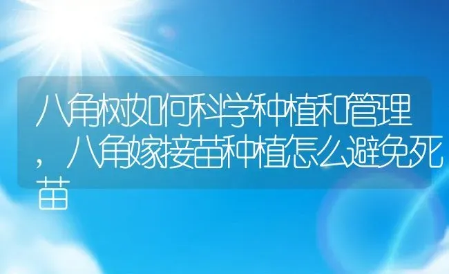 广西省梧州是几线城市,广西省梧州是几线城市 | 养殖科普