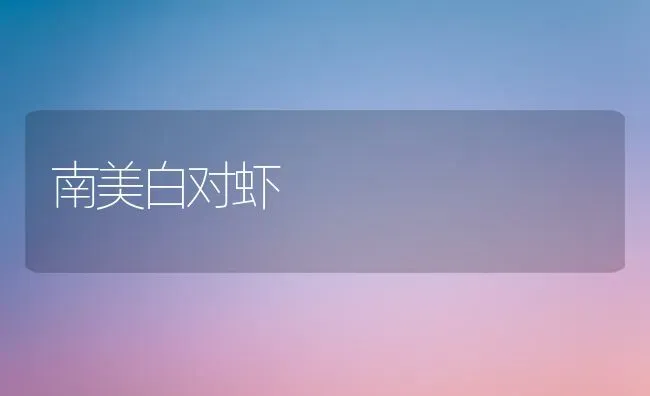 南美白对虾 | 养殖技术大全