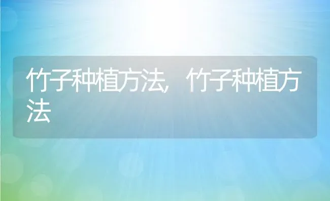 金玉满堂花的寓意是什么,金玉满堂是什么花？ | 养殖科普