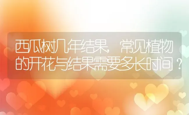 西瓜树几年结果,常见植物的开花与结果需要多长时间？ | 养殖科普