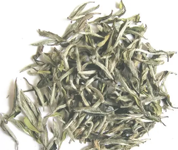 什么季节喝白茶最好,白茶适合什么季节喝？