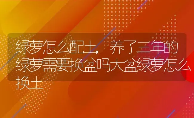 绿萝怎么配土,养了三年的绿萝需要换盆吗大盆绿萝怎么换土 | 养殖科普