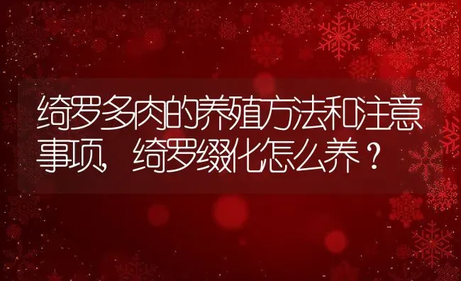 绮罗多肉的养殖方法和注意事项,绮罗缀化怎么养？ | 养殖科普