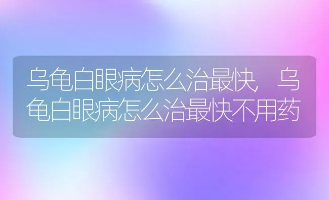 乌龟白眼病怎么治最快,乌龟白眼病怎么治最快不用药 | 养殖资料