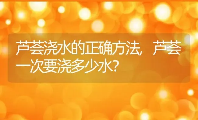 芦荟浇水的正确方法,芦荟一次要浇多少水？ | 养殖科普