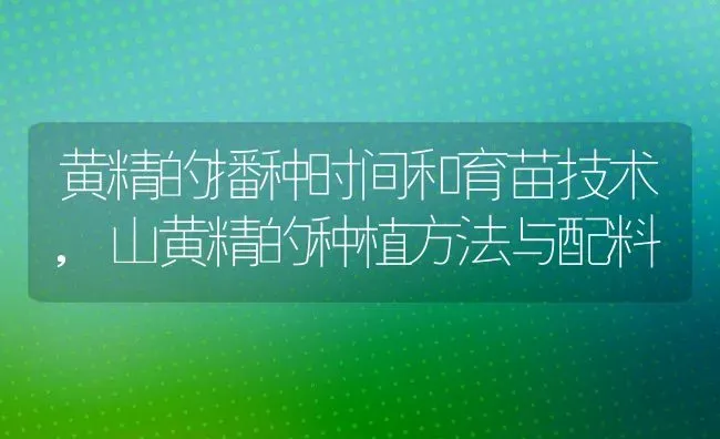 黄精的播种时间和育苗技术,山黄精的种植方法与配料 | 养殖学堂