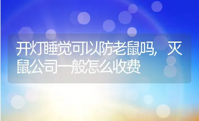 有跳蚤怎么办,消灭跳蚤的最佳方法 | 养殖科普