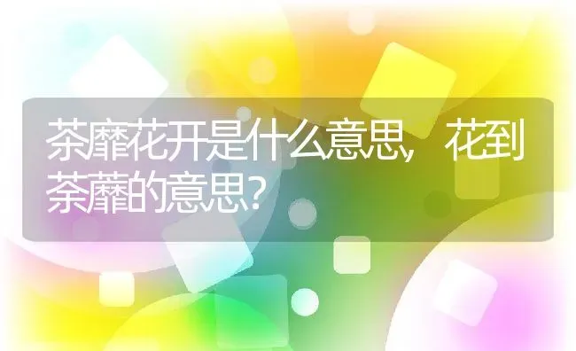 茶靡花开是什么意思,花到荼蘼的意思？ | 养殖科普