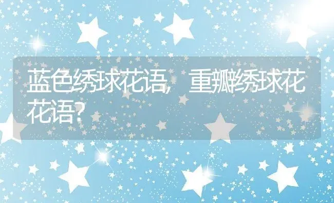 蓝色绣球花语,重瓣绣球花花语？ | 养殖科普