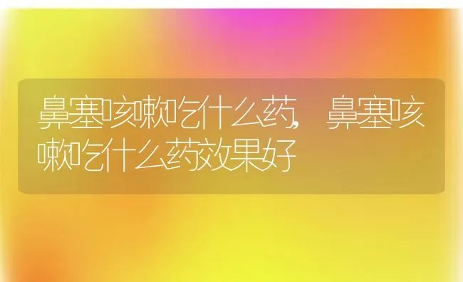 鼻塞咳嗽吃什么药,鼻塞咳嗽吃什么药效果好 | 养殖资料