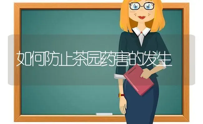 如何防止茶园药害的发生 | 养殖技术大全
