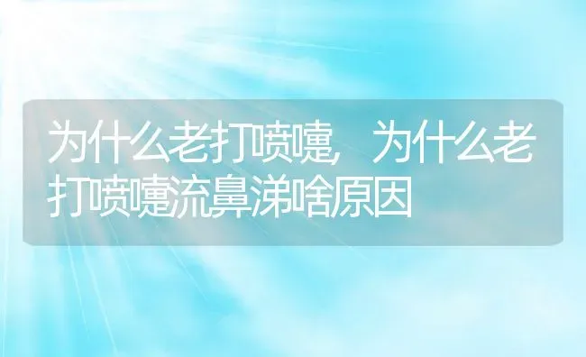 为什么老打喷嚏,为什么老打喷嚏流鼻涕啥原因 | 养殖科普