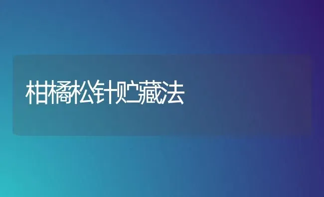 柑橘松针贮藏法 | 养殖知识