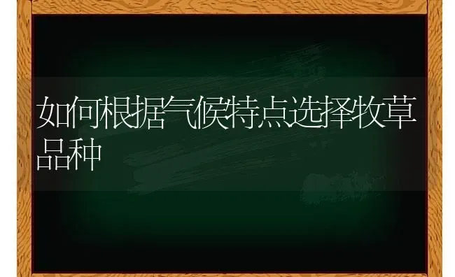 如何根据气候特点选择牧草品种 | 养殖知识