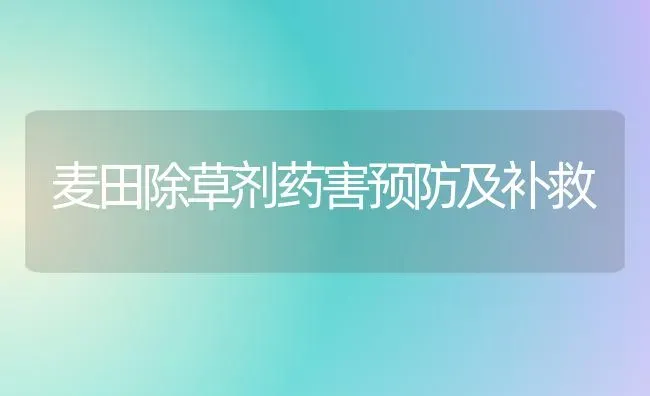 麦田除草剂药害预防及补救 | 养殖知识