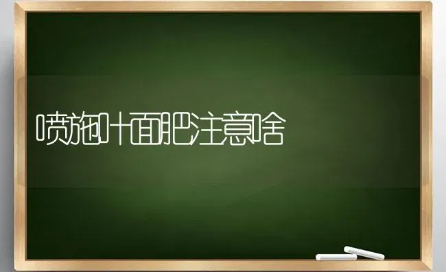 喷施叶面肥注意啥 | 养殖技术大全