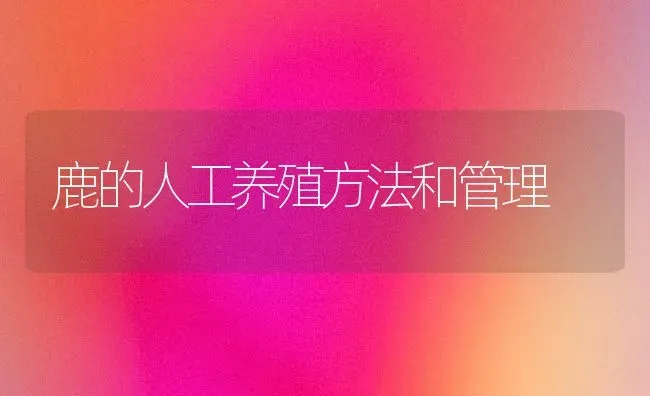 鹿的人工养殖方法和管理 | 养殖知识