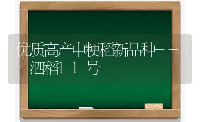 优质高产中粳稻新品种---泗稻11号 | 养殖技术大全