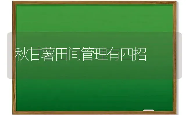 秋甘薯田间管理有四招 | 养殖知识