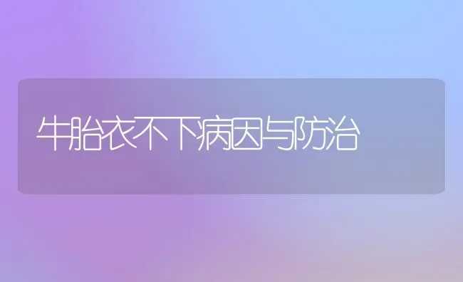 牛胎衣不下病因与防治 | 养殖知识