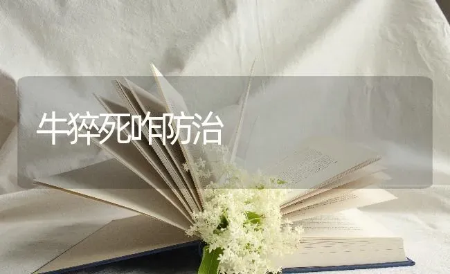 牛猝死咋防治 | 养殖技术大全