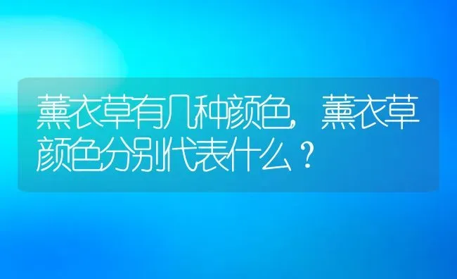 薰衣草有几种颜色,薰衣草颜色分别代表什么？ | 养殖学堂