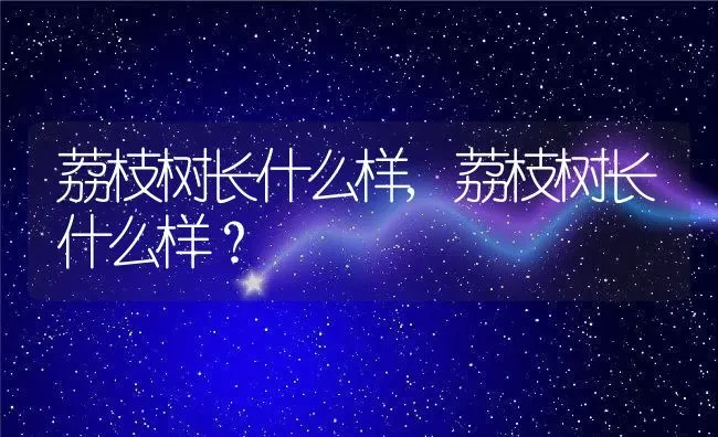 荔枝树长什么样,荔枝树长什么样？ | 养殖科普