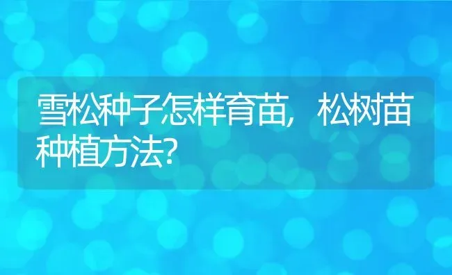 雪松种子怎样育苗,松树苗种植方法？ | 养殖科普