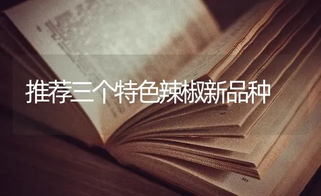 推荐三个特色辣椒新品种 | 养殖技术大全