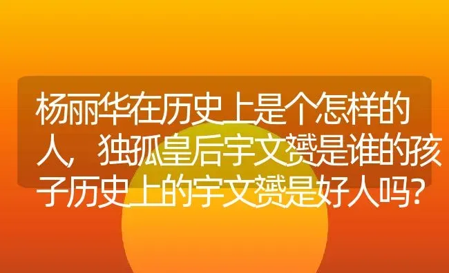 太阳花种子几天发芽,太阳种子种植方法？ | 养殖科普