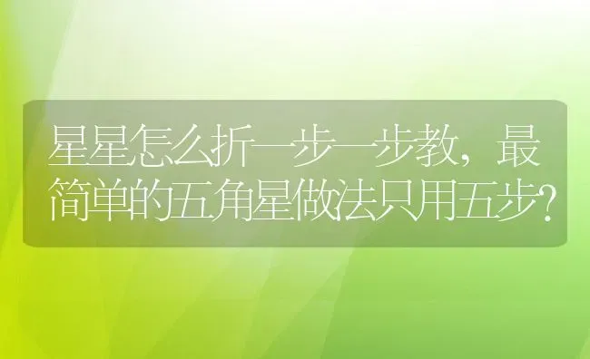 星星怎么折一步一步教,最简单的五角星做法只用五步？ | 养殖学堂