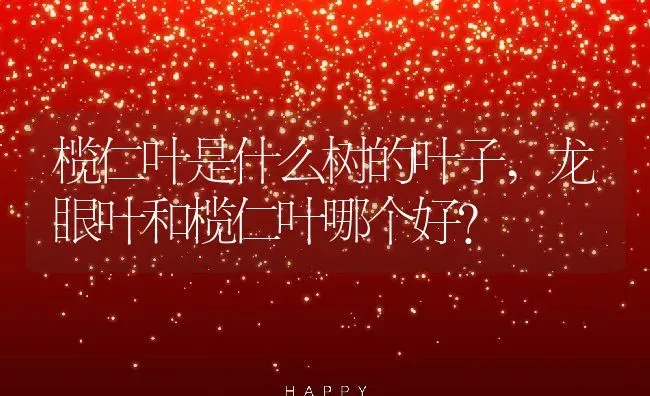 榄仁叶是什么树的叶子,龙眼叶和榄仁叶哪个好？ | 养殖科普