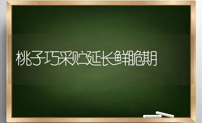 桃子巧采贮延长鲜脆期 | 养殖知识