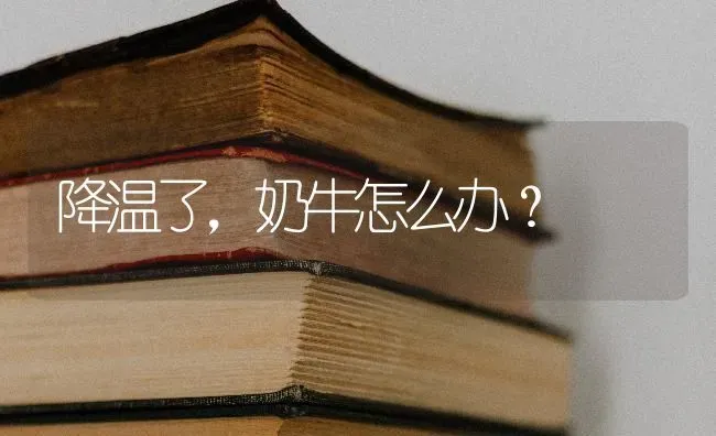 降温了,奶牛怎么办? | 养殖技术大全