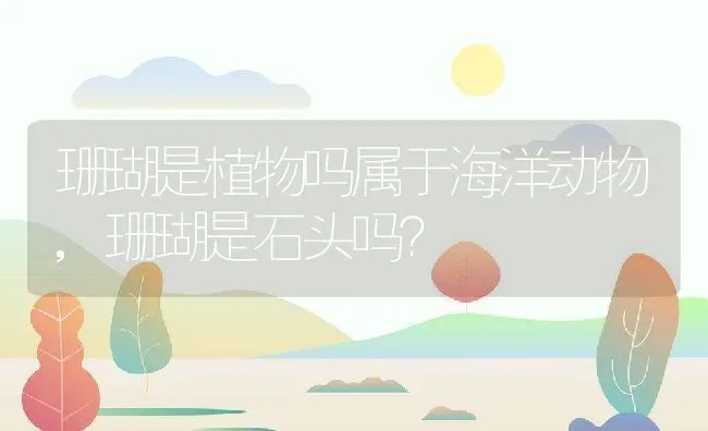 珊瑚是植物吗属于海洋动物,珊瑚是石头吗？ | 养殖科普